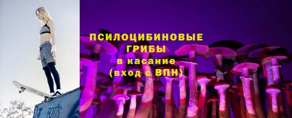 apvp Бородино