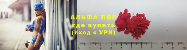 apvp Бородино
