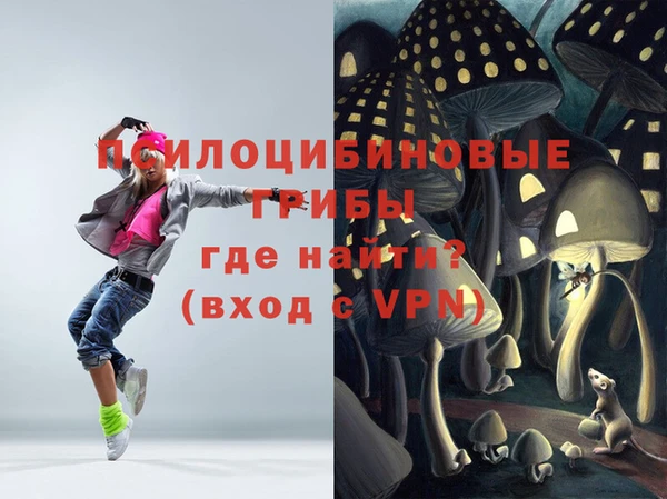 mix Богородск