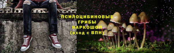 марки lsd Богданович