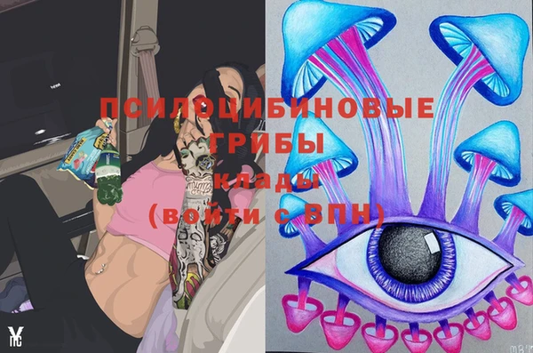 марки lsd Богданович