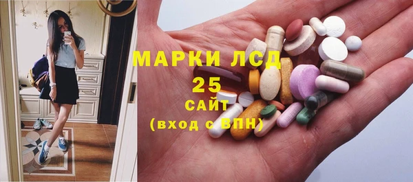 шишки Бронницы