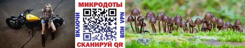 Псилоцибиновые грибы GOLDEN TEACHER  как найти закладки  Минусинск 